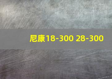 尼康18-300 28-300